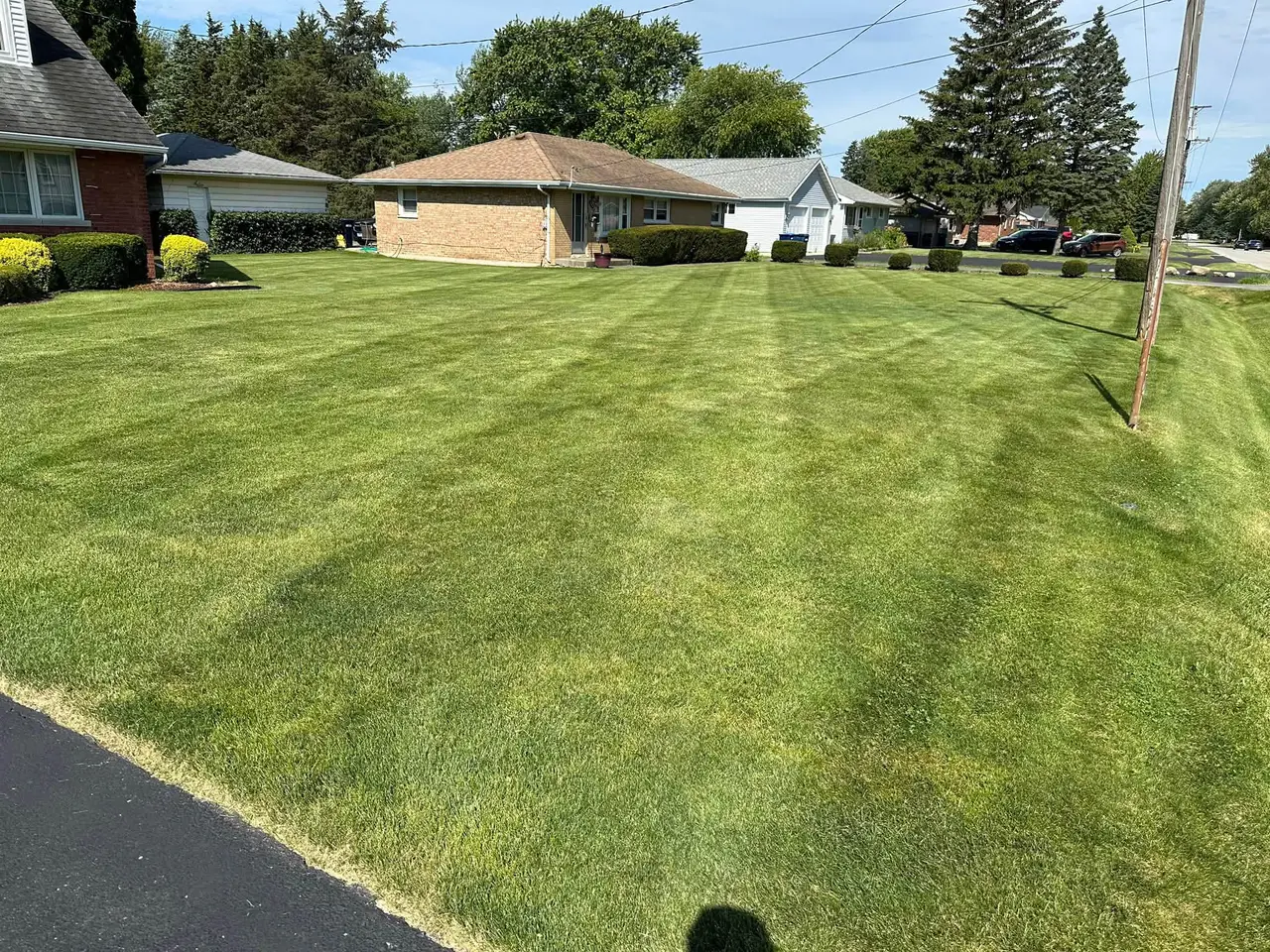 Wide corner lot lawn with even mowing stripes on a sunny summer day