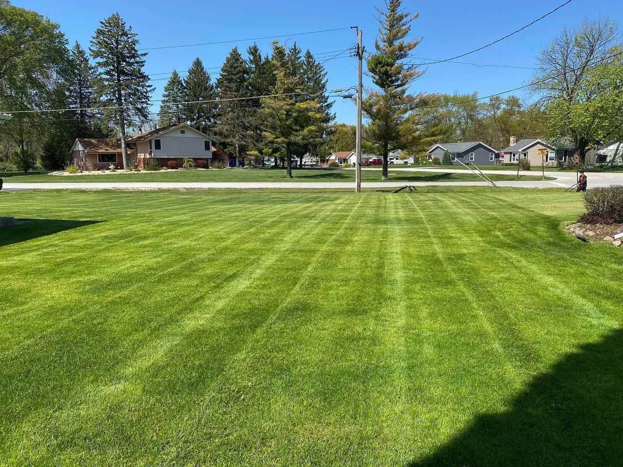 Large sunlit front lawn with wide even mowing stripes